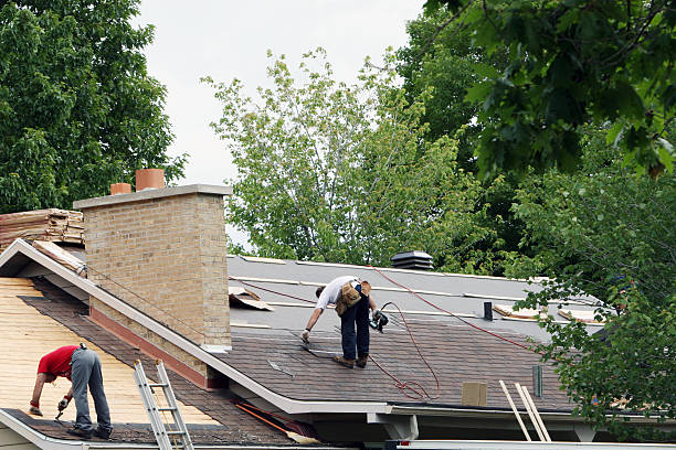 Best Roof Moss and Algae Removal  in Graham, TX